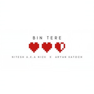 Bin Tere