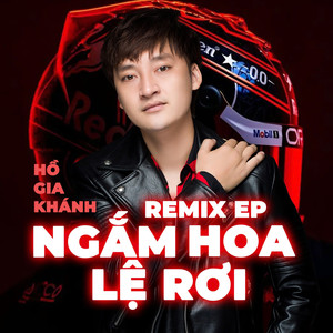 Ngắm Hoa Lệ Rơi (Acoustic Rock)
