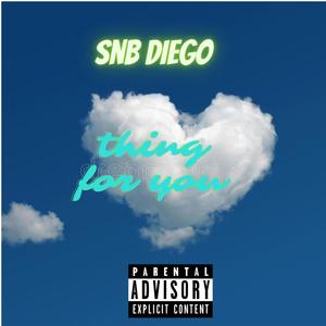 Thing For You (Explicit)