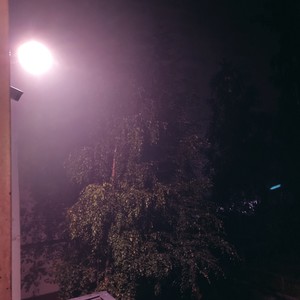 Love and Rhymes (Explicit)