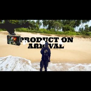 PALM TREES & GREEN GRASS