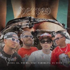 Perreo (feat. Viky Faribley El Felo DR y El Pochi) [Special Version]