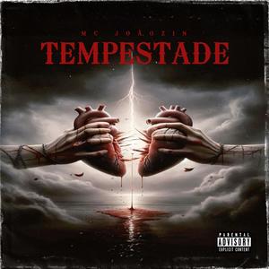 MC Joãozin - Tempestade (Explicit)
