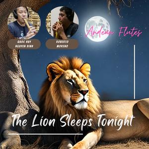 The Lion Sleeps Tonight (with Roberto Moreno)