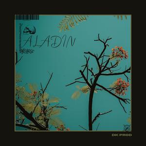 Aladin (Explicit)