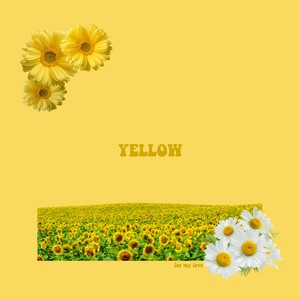 Yellow (feat. Kristof Pogacnik)