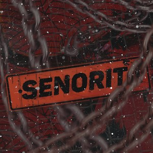 Senorita (Explicit)