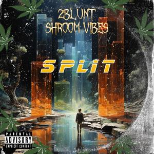 Split (feat. Shroom Vibes) (Explicit)