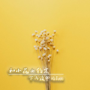和小花de约定吉他版