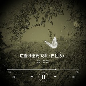 逆着风也要飞翔 (吉他版)