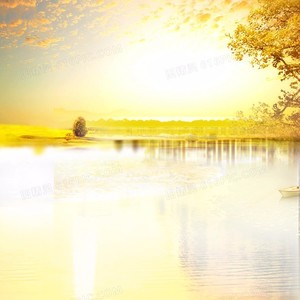 月亮代表谁的心