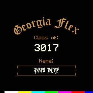 Georgia Flex 3017