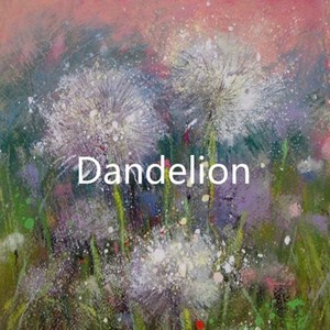 蒲公英流浪 (feat颜灵兰from七朵组合)