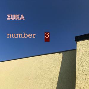 No Matter How Far It Goes, It Still Returns From Where It Starts (feat. Sandro Bibich)