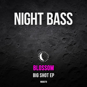 Big Shot (feat. TT the Artist)