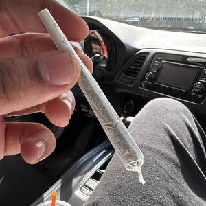 Night Terrors (Explicit)