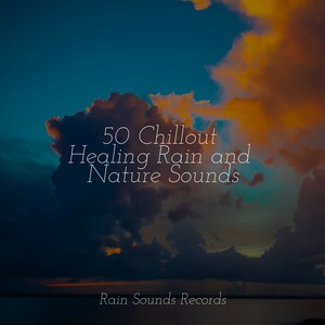 Musica de Relajación Academy - Distant Droplets at Midnight