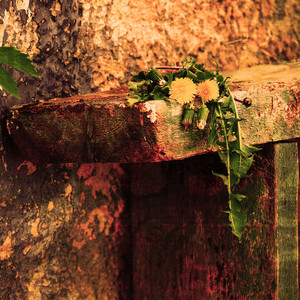 消せないメモリー (feat. 知声)