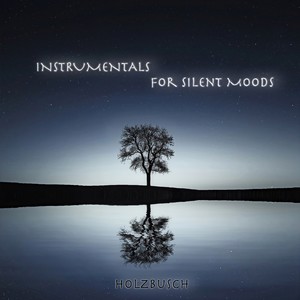 Instrumentals for Silent Moods