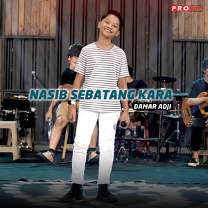 Nasib Sebatang Kara