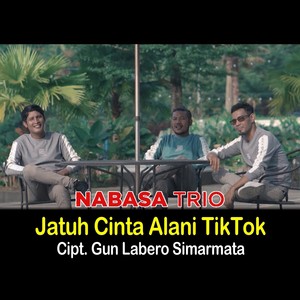 Jatuh Cinta Alani TikTok