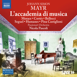 L'accademia di musica - Scene 12: Aria: Se mai più sarò geloso (Cecchino) (Live)