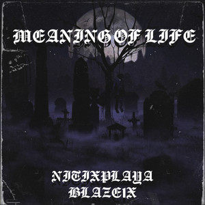 Meaning of Life (Explicit)