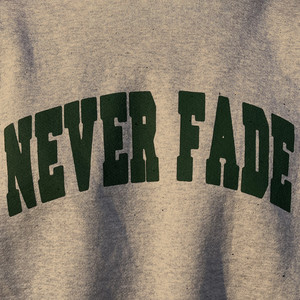 Never Fade