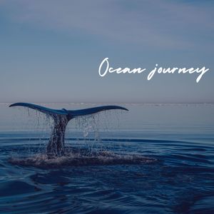 Ocean journey