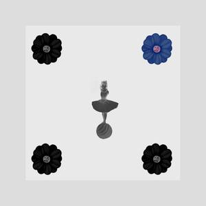 Asteroid From Toronto