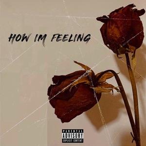 How Im Feeling (feat. Luh Meekins) (Explicit)