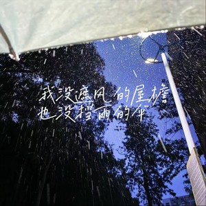 我没遮风的屋檐 也没挡雨的伞