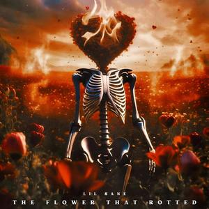 Call From $ane (Explicit)