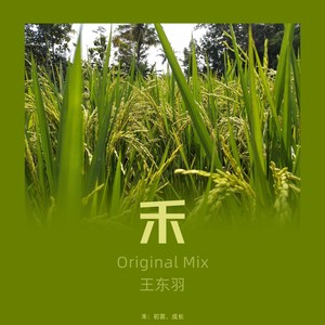 禾（Original Mix）