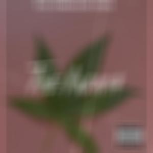 The Indica (Explicit)