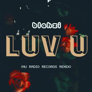 Luv U (Nu Radio Records Remix) [Explicit]