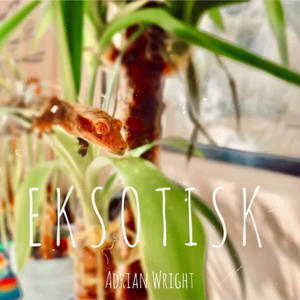 EKSOTISK (Explicit)