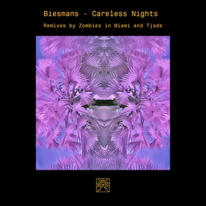 Biesmans - Careless Nights (Tjade Remix)