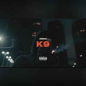 K9 (Explicit)