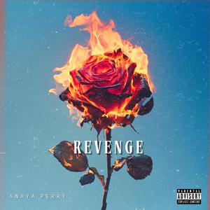 Revenge (Explicit)