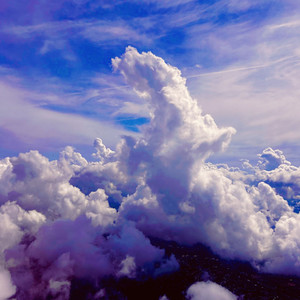 Territorial Pissings (Explicit)