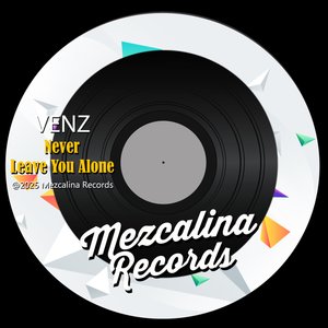 Never Leave You Alone (Extended Mix)