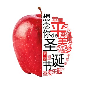 想念你的圣诞节