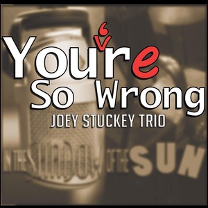 You're so Wrong (Radio Edit)