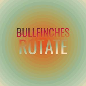 Bullfinches Rotate