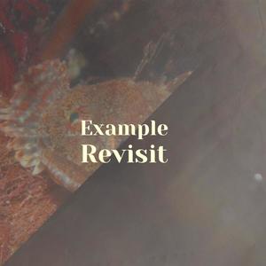 Example Revisit
