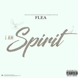 I AM SPIRIT (Explicit)