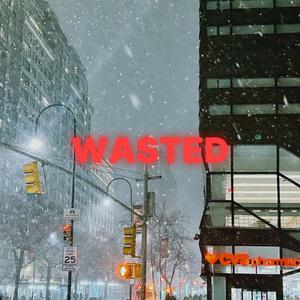 WASTED