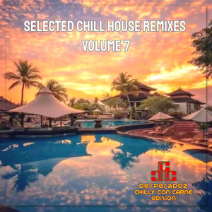 Selected Chill House Remixes, Volume 7