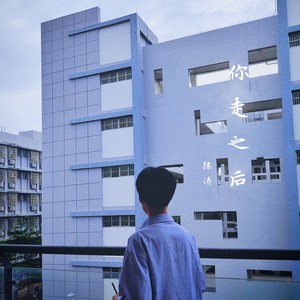 你走之过后